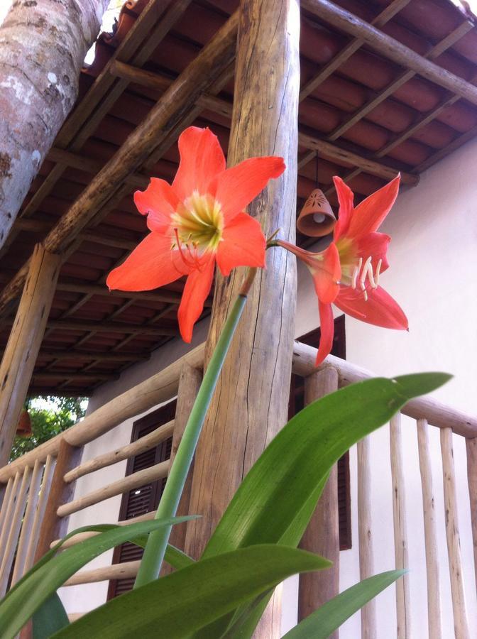 Cheiro Nativo - Chales & Pousada Trancoso Exterior foto